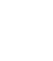 pneu vraník